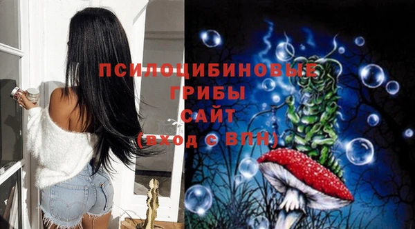 тгк Алексеевка