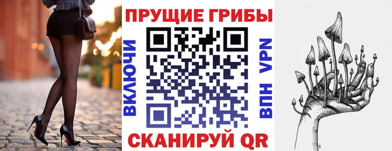 Купить где  Менделеевск  Галлюциногенные грибы Cubensis 